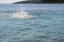 gal/cro 08/_thb_small-IMG_4941.JPG
